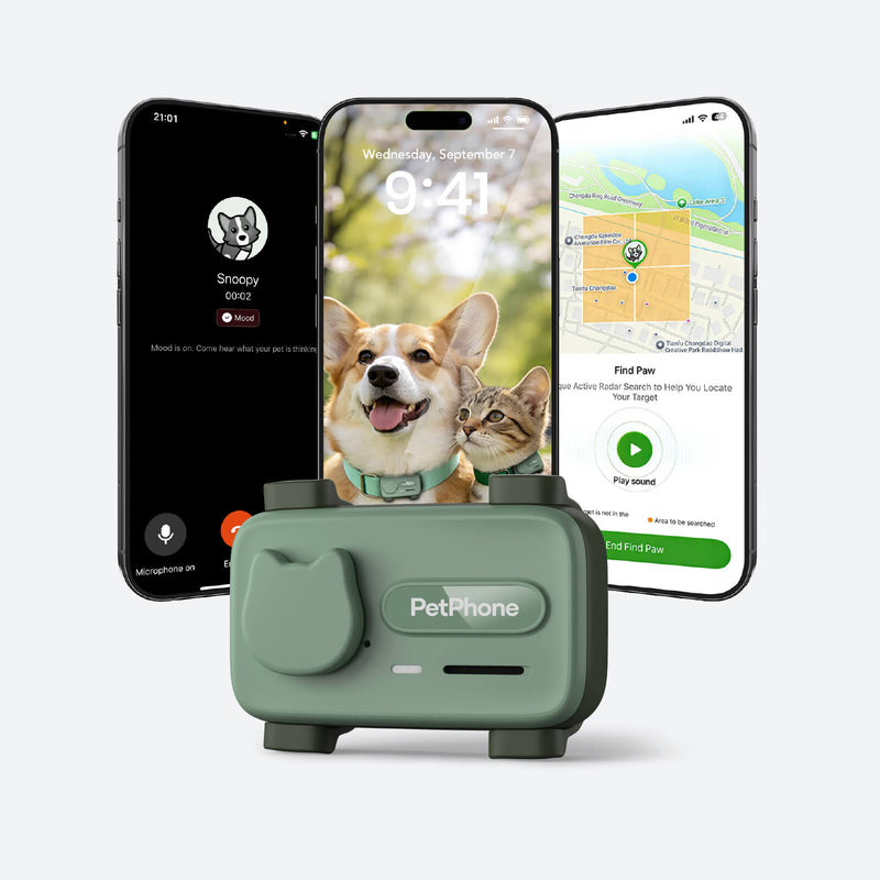 PetPhone – First Smartphone Designed For Pet