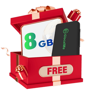 Exclusive Gift(8GB North America & travel case)