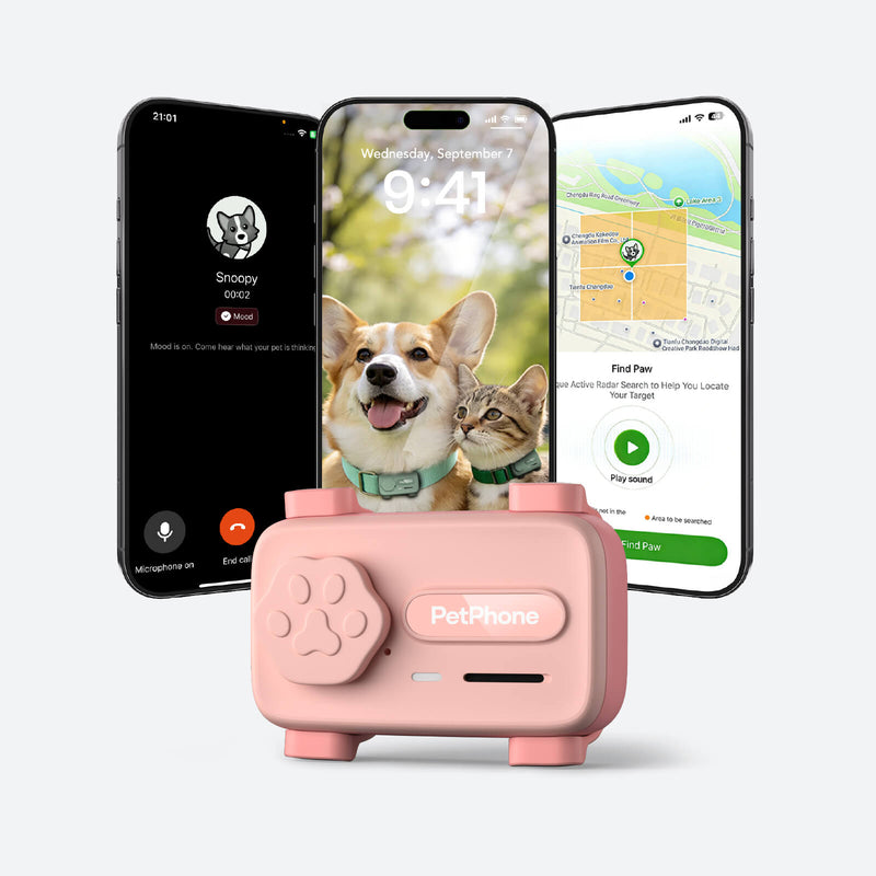 PetPhone – First Smartphone Designed For Pet