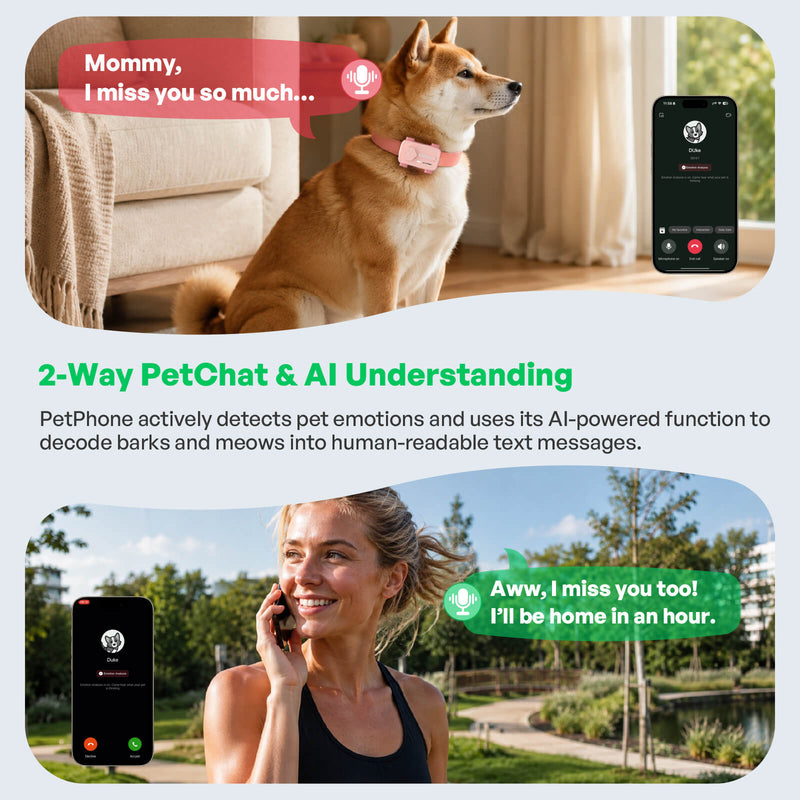 PetPhone – First Smartphone Designed For Pet