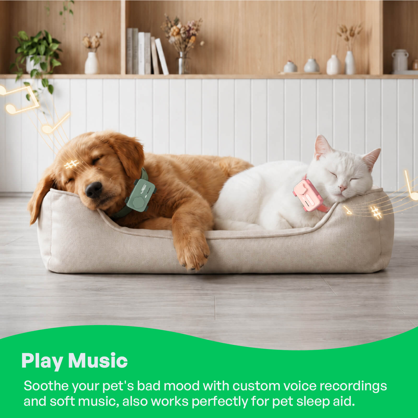 PetPhone – First Smartphone Designed For Pet