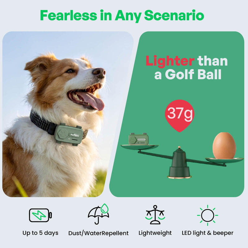 PetPhone – First Smartphone Designed For Pet