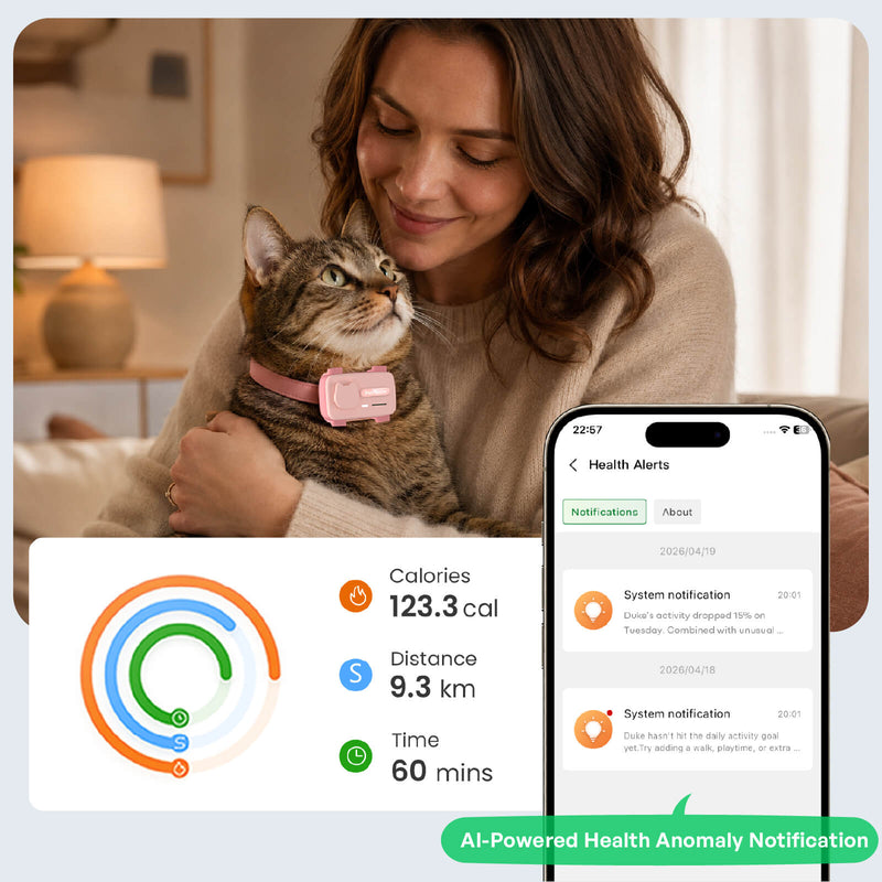 PetPhone – First Smartphone Designed For Pet